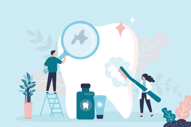 Trusted Port Charlotte, FL  Holistic Dental Services Experts